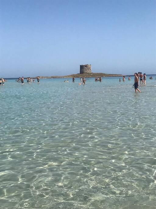 Casa Vacanze Stelle Marine Viddalba Eksteriør bilde